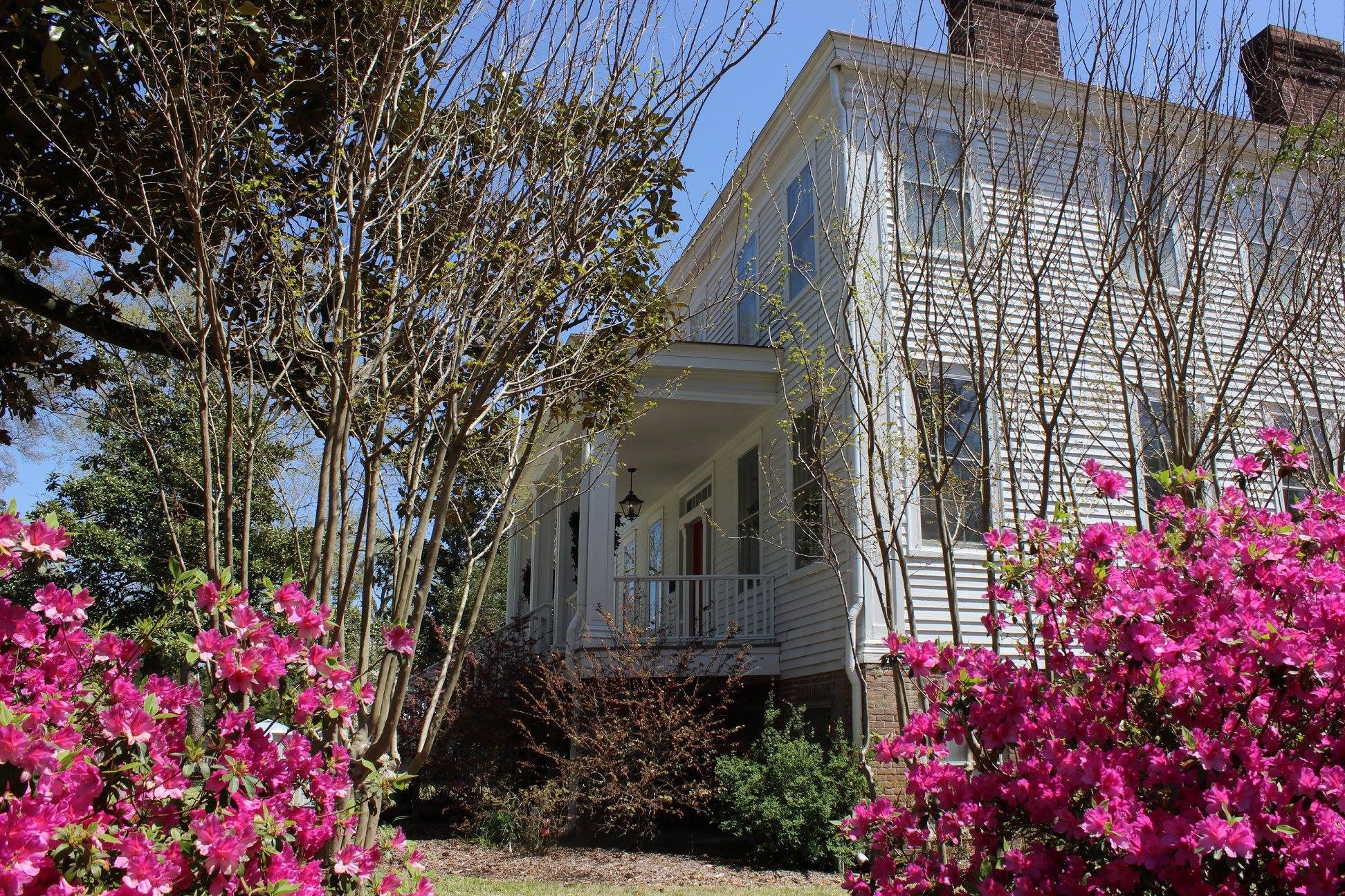 Black History Month at Poplar Grove